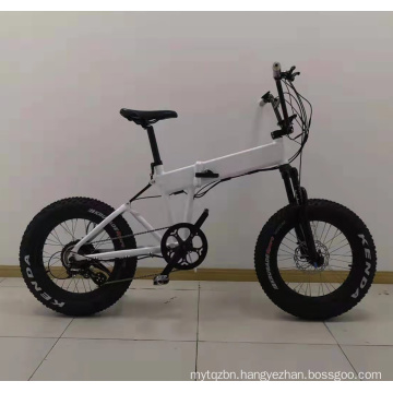 Light Weight Foldable Ebike/Fat Tire Folding E Bike with Disc Brake